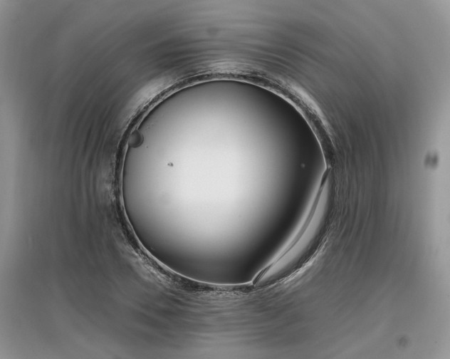 X0000097640930200803071549