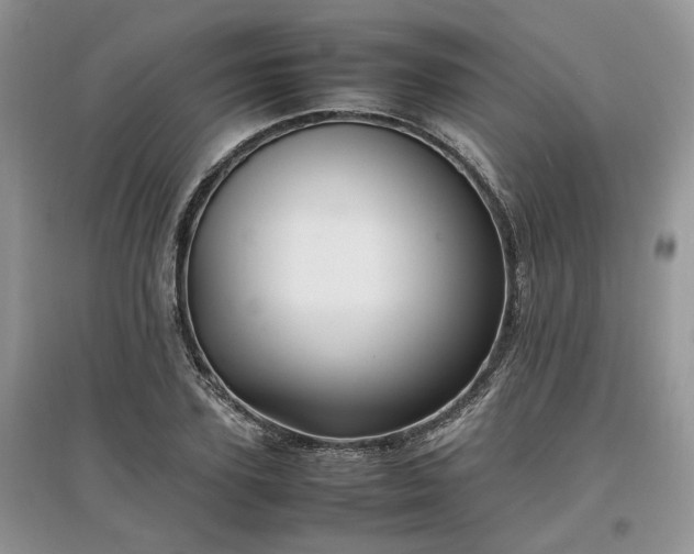 X0000097640931200803071549