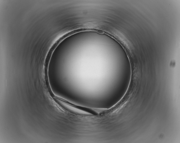 X0000097640932200803071549