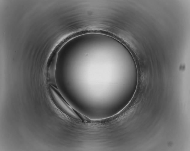 X0000097640934200803071549