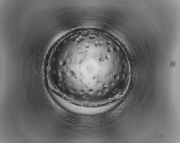 X0000097640935200803071549