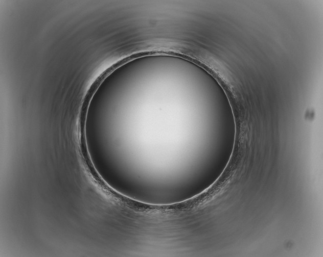 X0000097640936200803071550