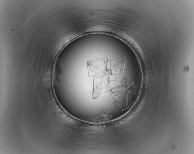 X0000097640937200803071550