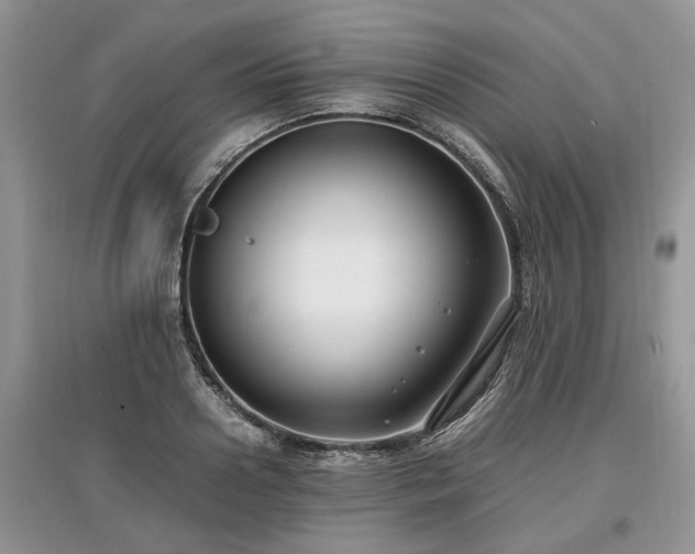 X0000097640938200803071550