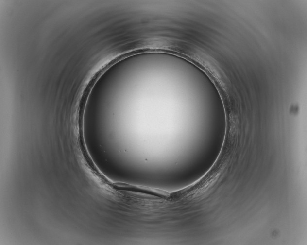 X0000097640939200803071550