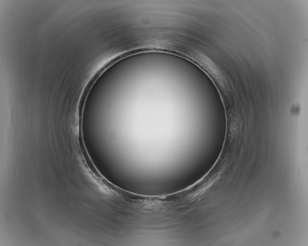 X0000097640940200803071550