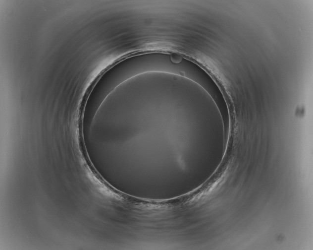 X0000097640941200803071550