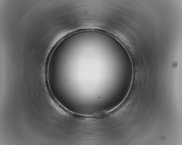 X0000097640942200803071550