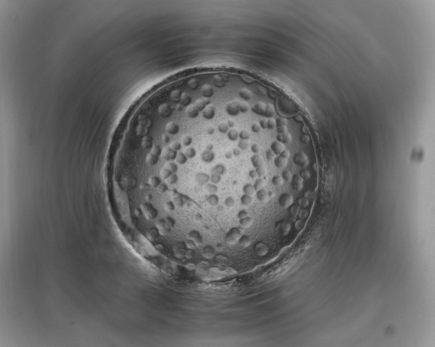 X0000097640943200803071550