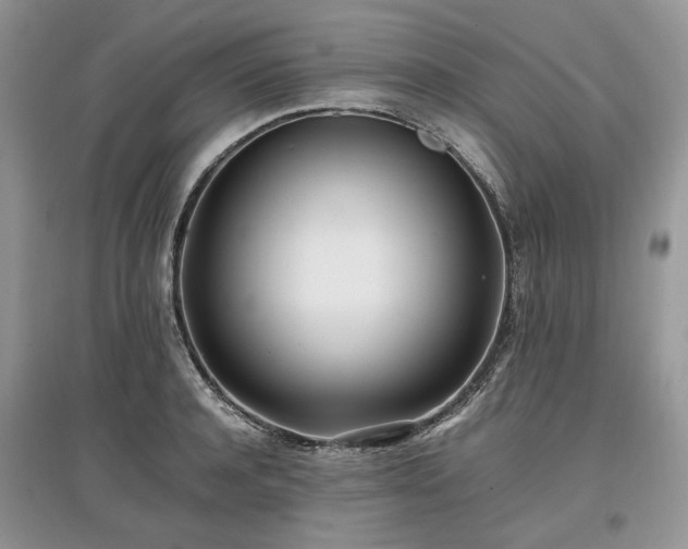 X0000097640944200803071550