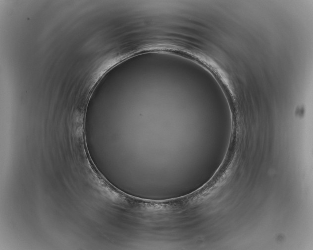 X0000097640945200803071550