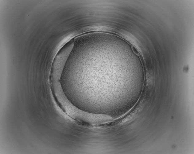 X0000097640946200803071550