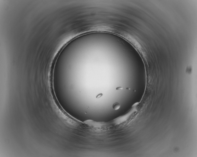 X0000097640947200803071550