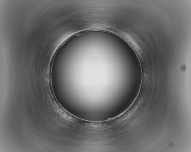 X0000097640948200803071550