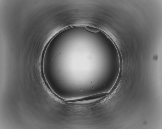 X0000097640949200803071550