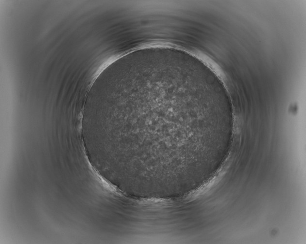 X0000097640953200803071550