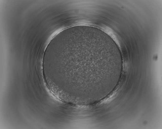 X0000097640954200803071550