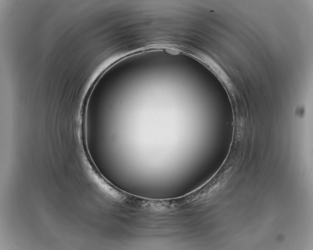 X0000097640955200803071550