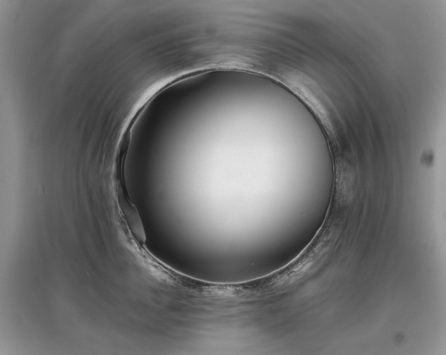 X0000097640956200803071550