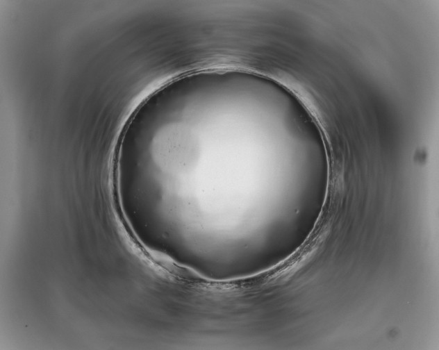 X0000097640957200803071550