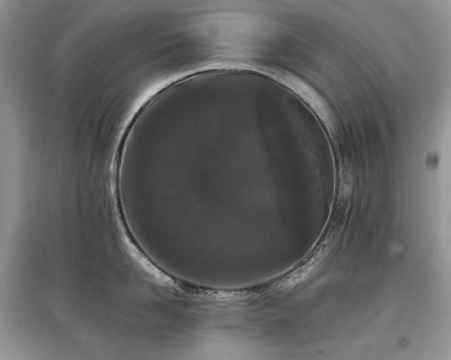 X0000097640958200803071550