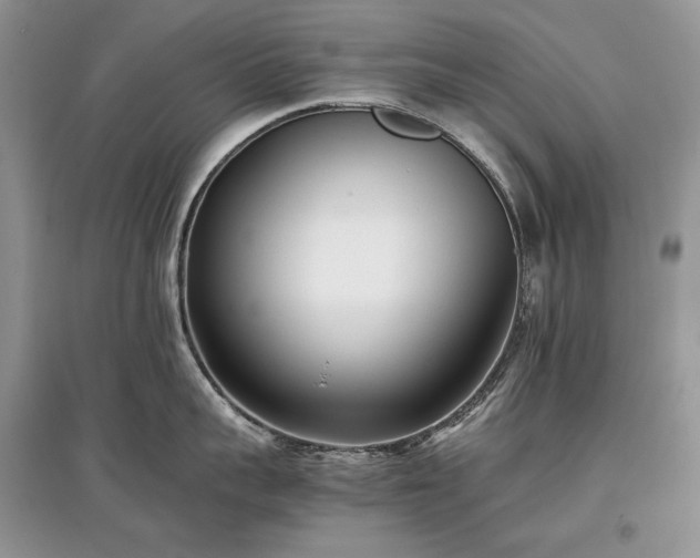 X0000097640959200803071550