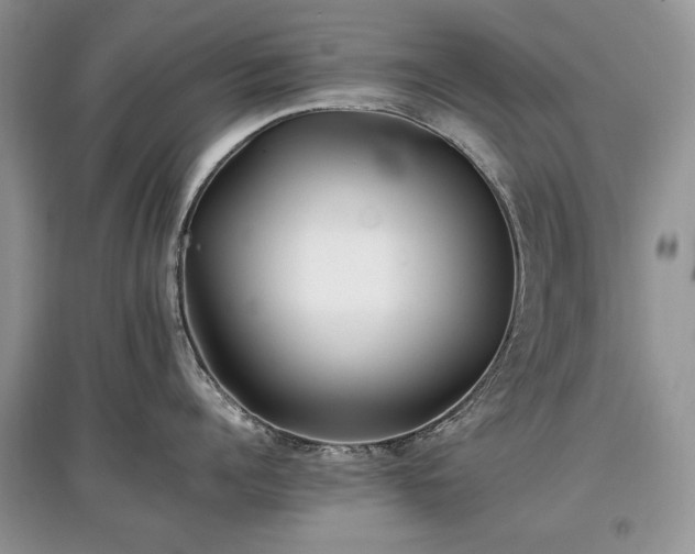 X0000097640960200803071550