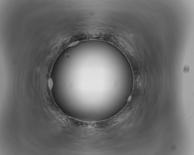 X0000097640961200803071549