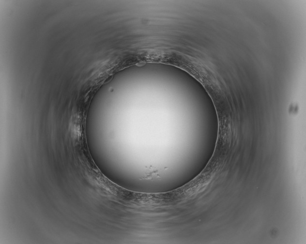 X0000097640962200803071549