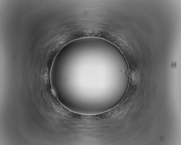 X0000097640963200803071549