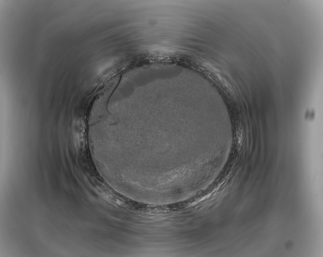 X0000097640964200803071549