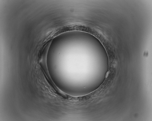 X0000097640965200803071549