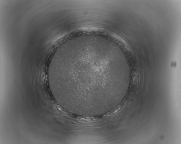 X0000097640966200803071549