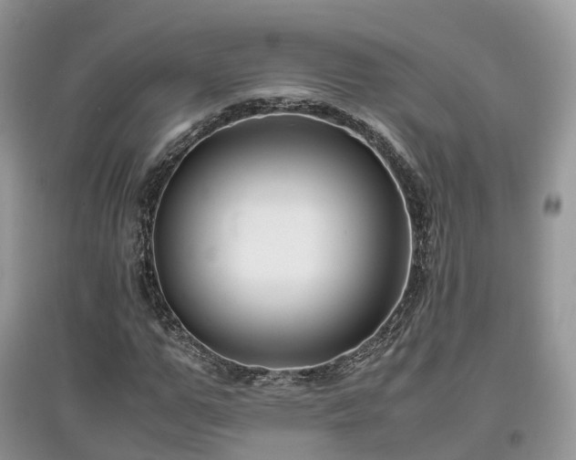 X0000097640967200803071549