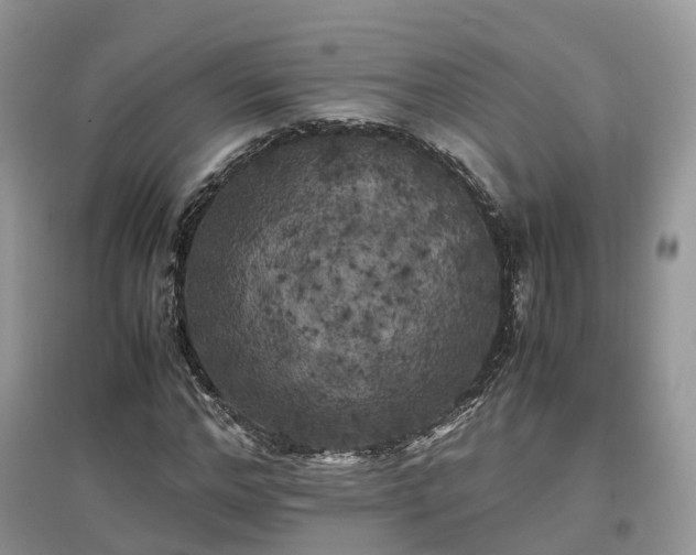 X0000097640968200803071549