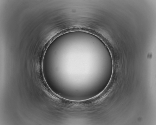 X0000097640969200803071549