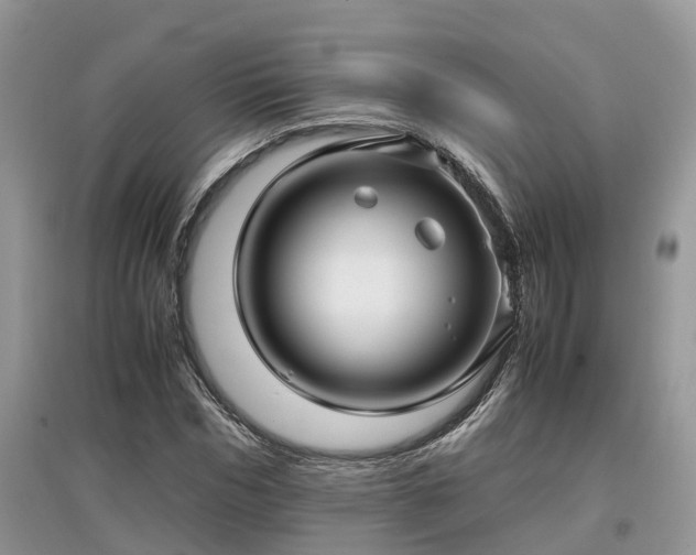 X0000097640970200803071549