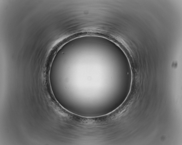 X0000097640971200803071549