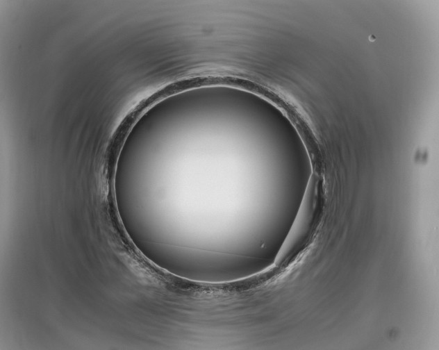 X0000097640973200803071549