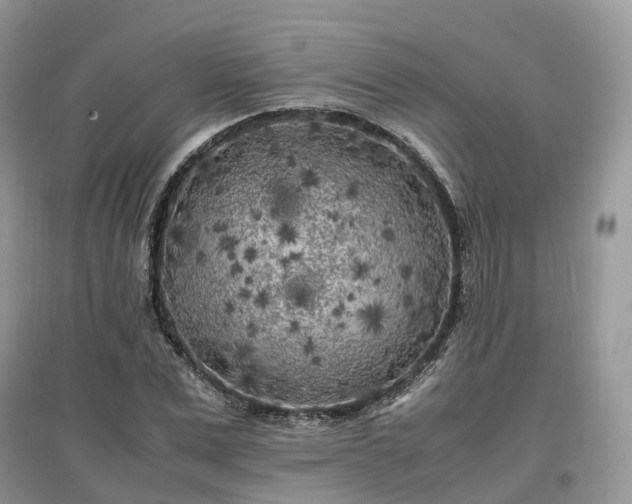 X0000097640975200803071549