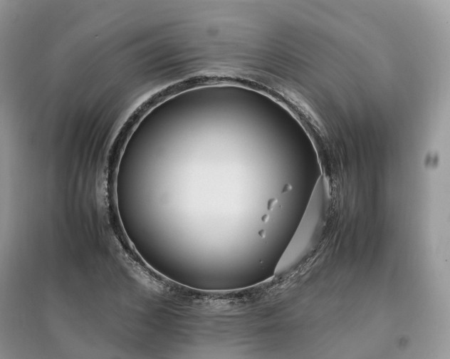 X0000097640976200803071549