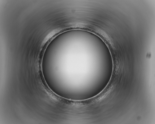 X0000097640978200803071549