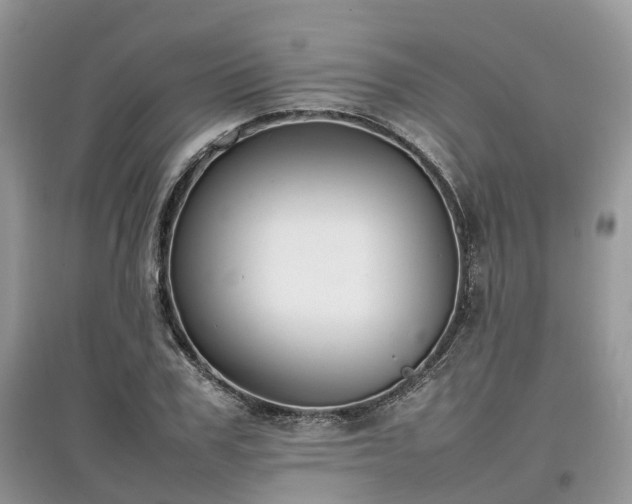 X0000097640979200803071549