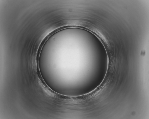 X0000097640980200803071549