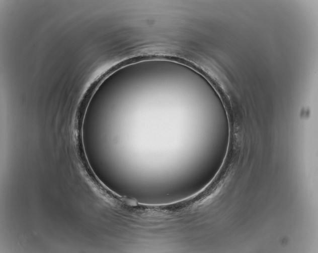 X0000097640981200803071549