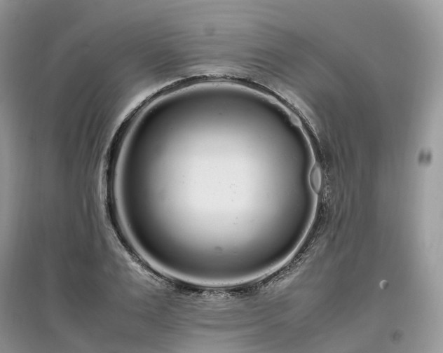 X0000097640983200803071549