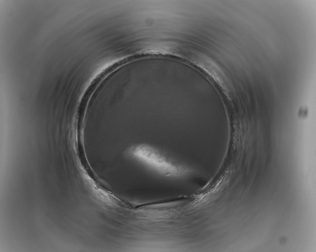 X0000097640984200803071549