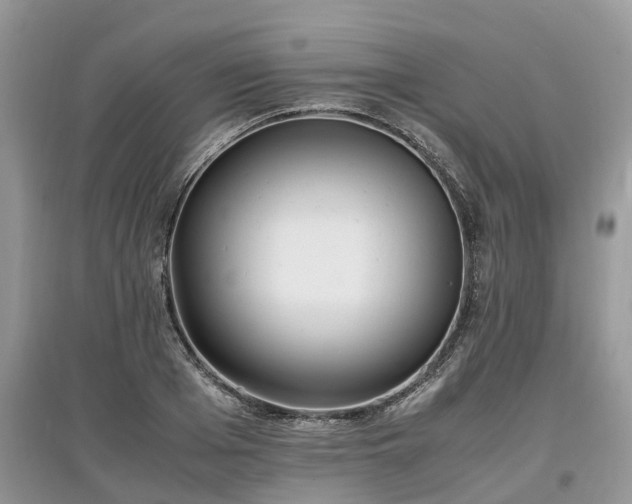 X0000097640985200803071549