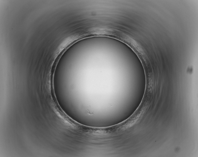 X0000097640986200803071549