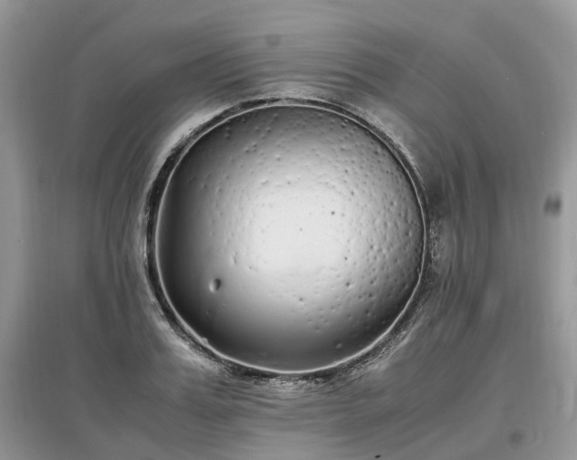 X0000097640987200803071549